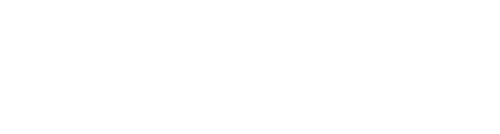 GoChek